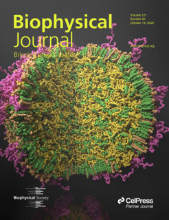 Zum Artikel "Cover Story: Fettsäuren als Türöffner für mRNA"