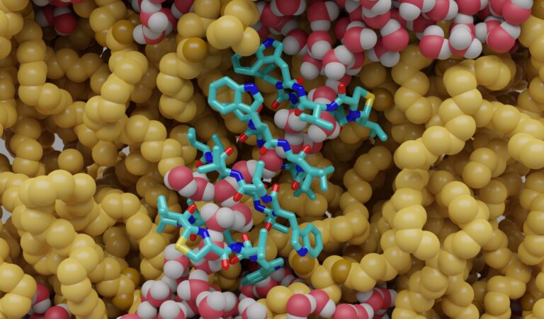 Direkt in der Nase: Antimikrobielles Peptid bekämpft krankmachende Bakterien